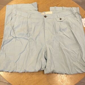 A new day plus size women's trousers size 22 NWT LIGHT BLUE